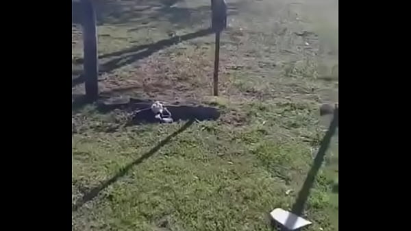 Nonton La Oveja Guapa thumbnail