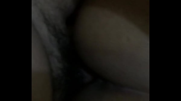 Tr&iacute_os Los olivos