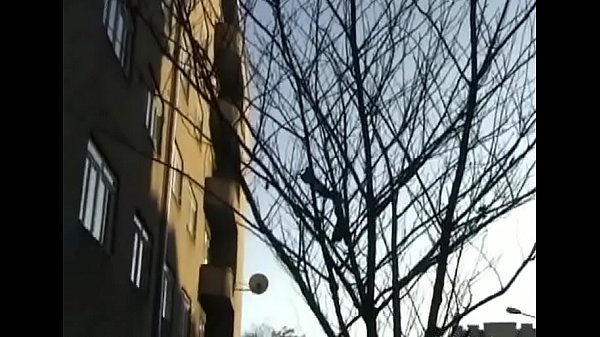 Nonton Sexy Honey Rammed To Orgasm thumbnail