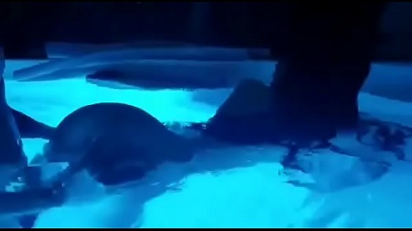 Giselle Montes folla en la_piscina_parte 2