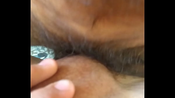 Dando para o dotado peludo