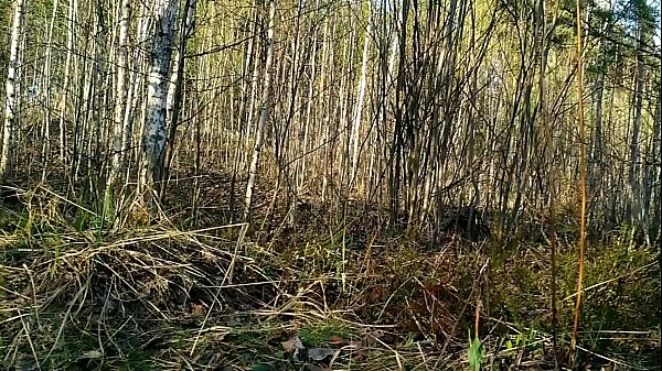 I almost got caught while sucking_dick outdoor LarunaMave