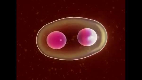 Celula safada novinha se dividindo para dar conta de tudo  Prev1...1718192021222324252627282930313233...112Next SEXBOKEP adalah Website Bokep Indonesia Terbaru dan Terlengkap Gratis dimana Anda dapat menonton streaming video bokep dan download vidio bokep terbaru yang sedang viral dengan aplikasi bokep android, Aplikasi bokep free download simontok app terbaru 2026 for PC Mobile Online dan HP     Contact Us   DMCA   Disclamer   Privacy and Policy   Conditions of Use  &copy; 2026 SEXBOKEP All rights reserved