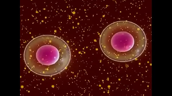 Celula safada novinha se dividindo para dar conta de tudo 