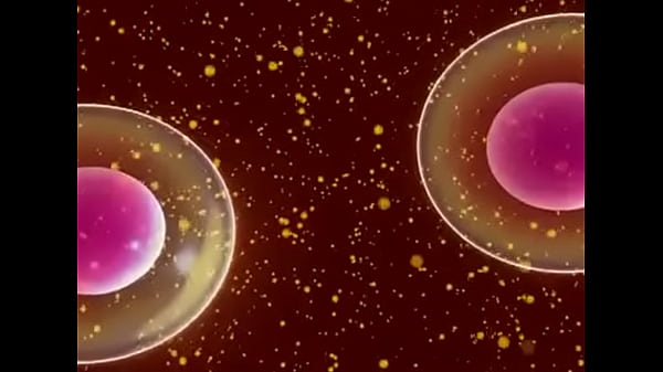 Celula safada novinha se dividindo para dar conta de tudo 