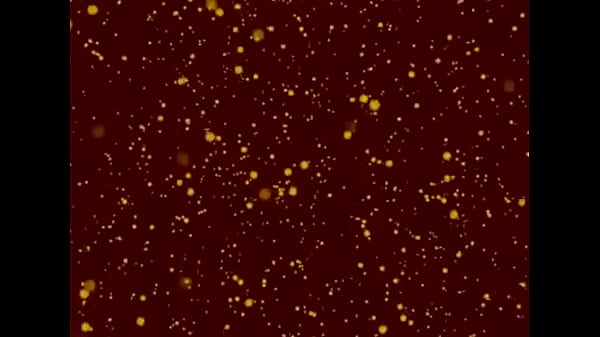 Celula safada novinha se dividindo para dar conta de tudo 