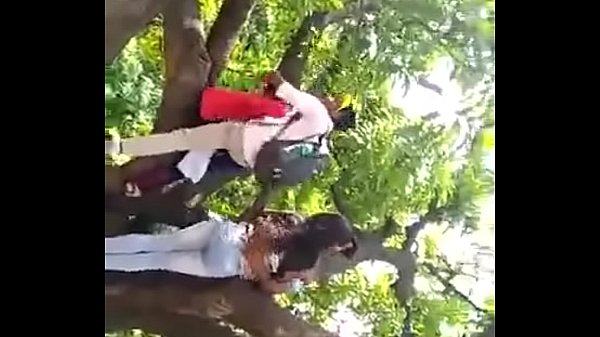 वेरीफ़िकेशन विडियो 
