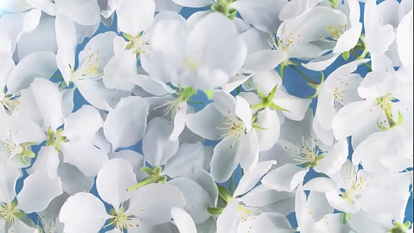 Play MP4 - Raunchy threesome with Kiara Lord and Geisha Kyd - Lifeselector