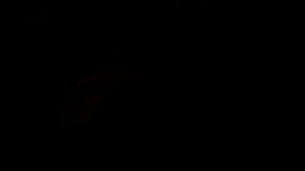 Nonton Blonde Gets Fingered thumbnail