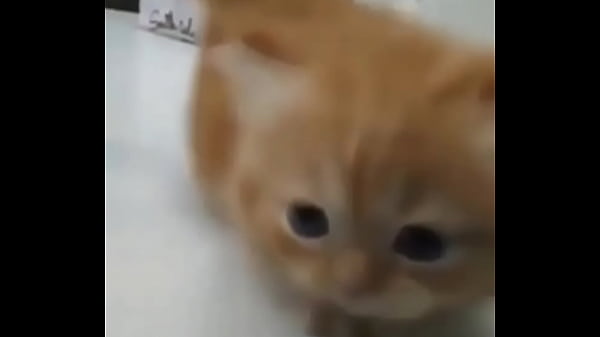 Soy muy linda y guapa estoy cachondisima 