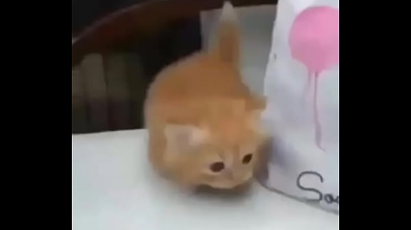 Nonton Soy Muy Linda Y Guapa, Estoy Cachondisima thumbnail