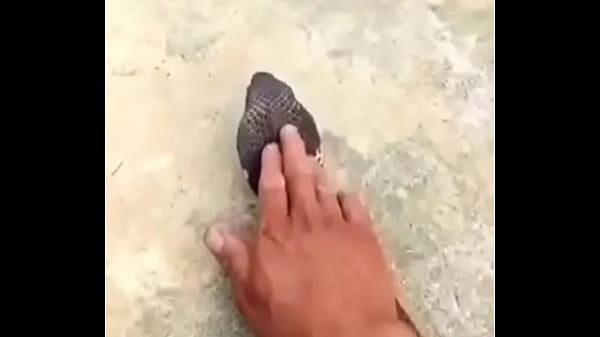 वेरीफ़िकेशन विडियो 