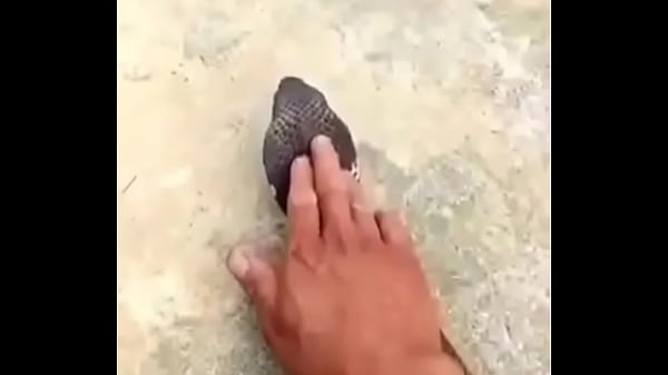 वेरीफ़िकेशन विडियो