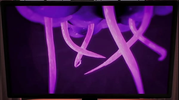 HighOn LifeThe Weird AlienPorn