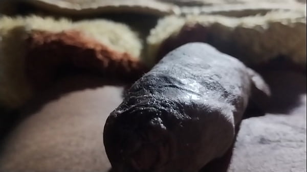 Nonton Punhetando thumbnail