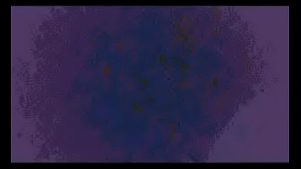 Comenta que es lo que logras ver o escuchar