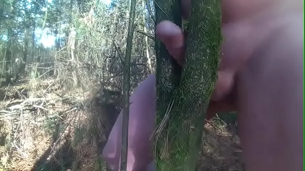 fuck tree deep forest 