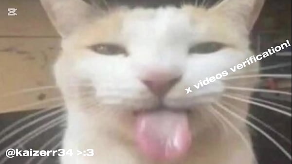 Werificaci&oacute;n Para X Videos :3 Wohoo thumbnail