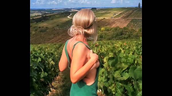 Ivresse des vendanges 