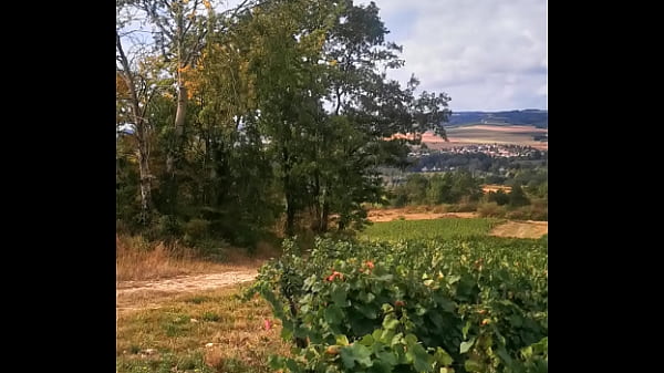 Nonton Ivresse Des Vendanges thumbnail