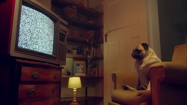 BENEFIT_MONKEY We were in the middle of_recording but wecouldn_t hold the desire P2