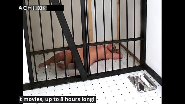 Where the fuck am i crystal frost 