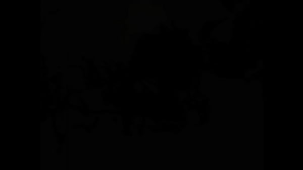 Play MP4 - vintage erotic drawings