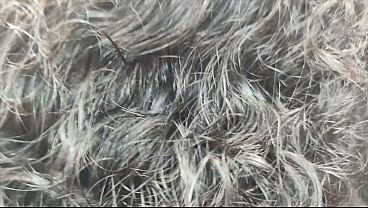 Nonton Malayali Hot Couple Intense Lip Lock &ndash; Wild Romance To Rough Sex thumbnail