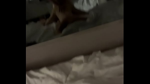 Nonton Sexy Mirror Sex thumbnail