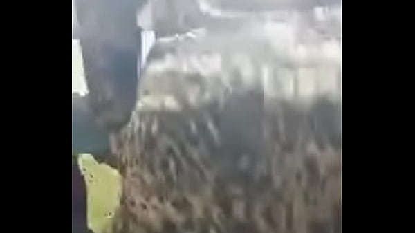 ترمة مراكشية