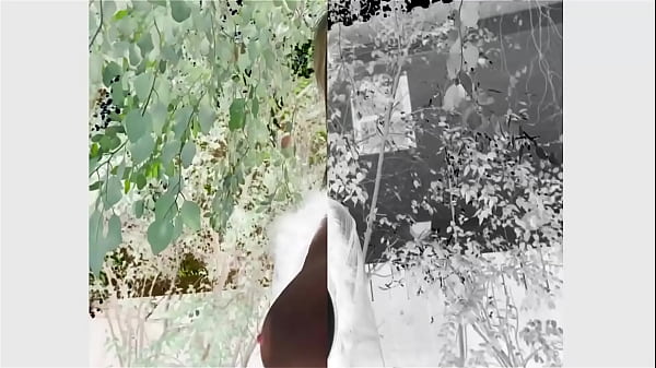 Nonton From Double Ds To An A thumbnail