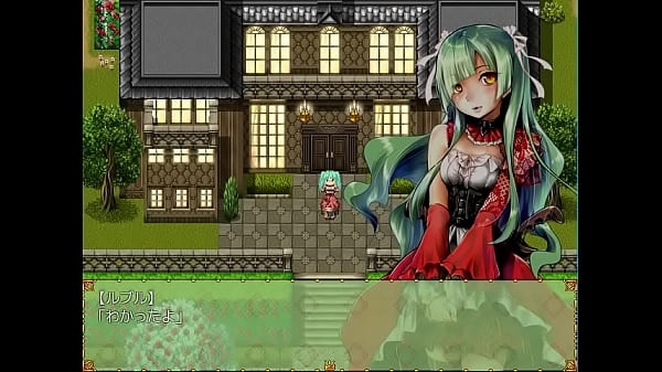 18_H RPG Games Pet_Doll Ideal Secret Security Record 3