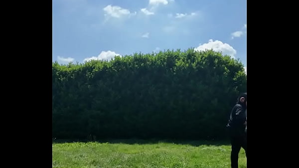 ️ alex the monkey's today i tried to cut the grass i don't know if i won but the grass definitel 