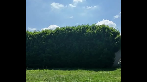 ️ alex the monkey's today i tried to cut the grass i don't know if i won but the grass definitel 