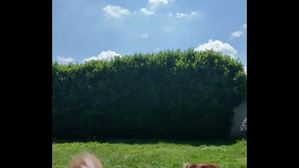 ️ alex the monkey's today i tried to cut the grass i don't know if i won but the grass definitel 