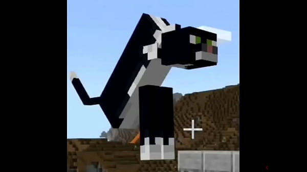 Canci&oacute;n genial para o&iacute;rla mientras te ba&ntilde;as xd