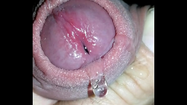 Play MP4 - Mi jugosa polla