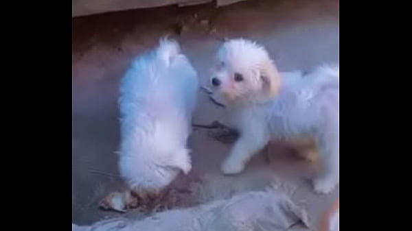 Nonton Roma thumbnail