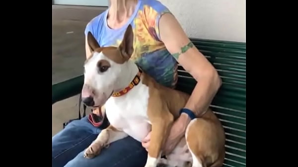 A highlights reel created by google i asked it to use photos of me feet 