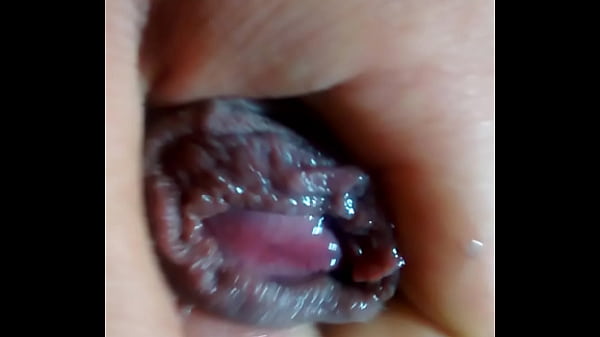 Play MP4 - Mi pene bien baboso