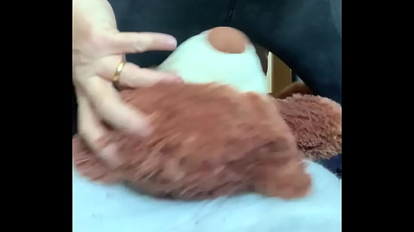 Mr bear gets squashed 