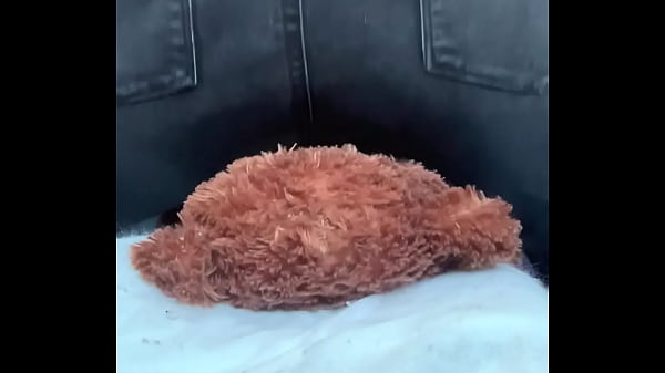 Mr bear gets squashed 