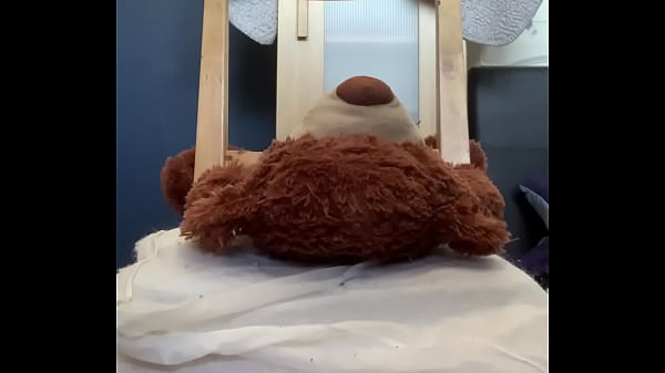Nonton Mr Bear Gets Squashed thumbnail