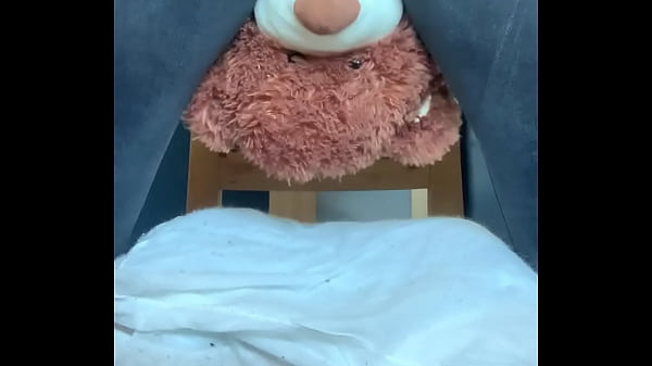 Mr bear gets squashed