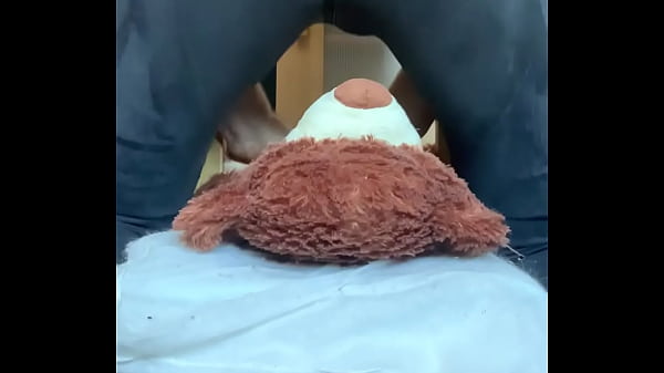 Mr bear gets squashed 