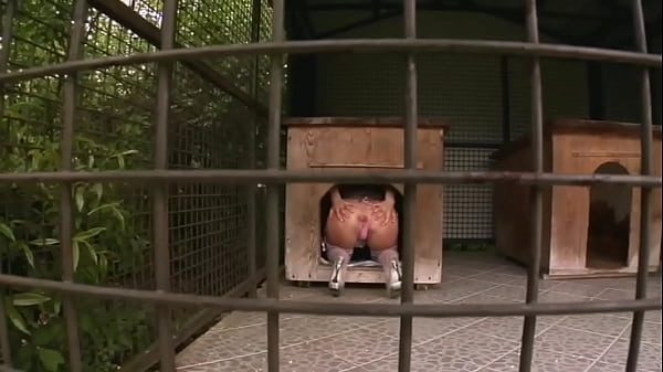 Great Ass Fucking From Eu - Lots Of Anal And Dp thumbnail