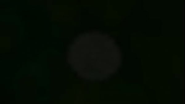 Nonton Wanna Pvt Show thumbnail