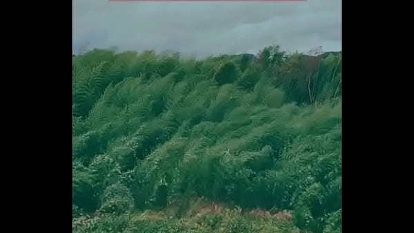 Video x&aacute_c minh