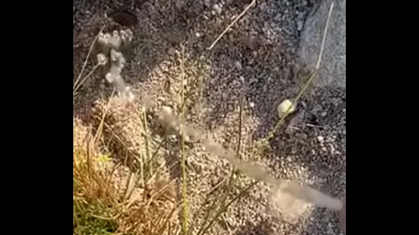 pissing outside good fun 