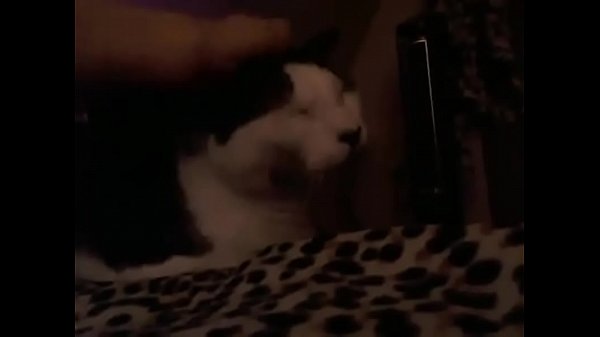 Mariahmynx chaturbate 28 06 13 9 50 pm 